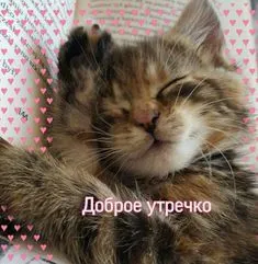 IMG-9074ac49c4b34b85f97f04c042491ea4-V.webp