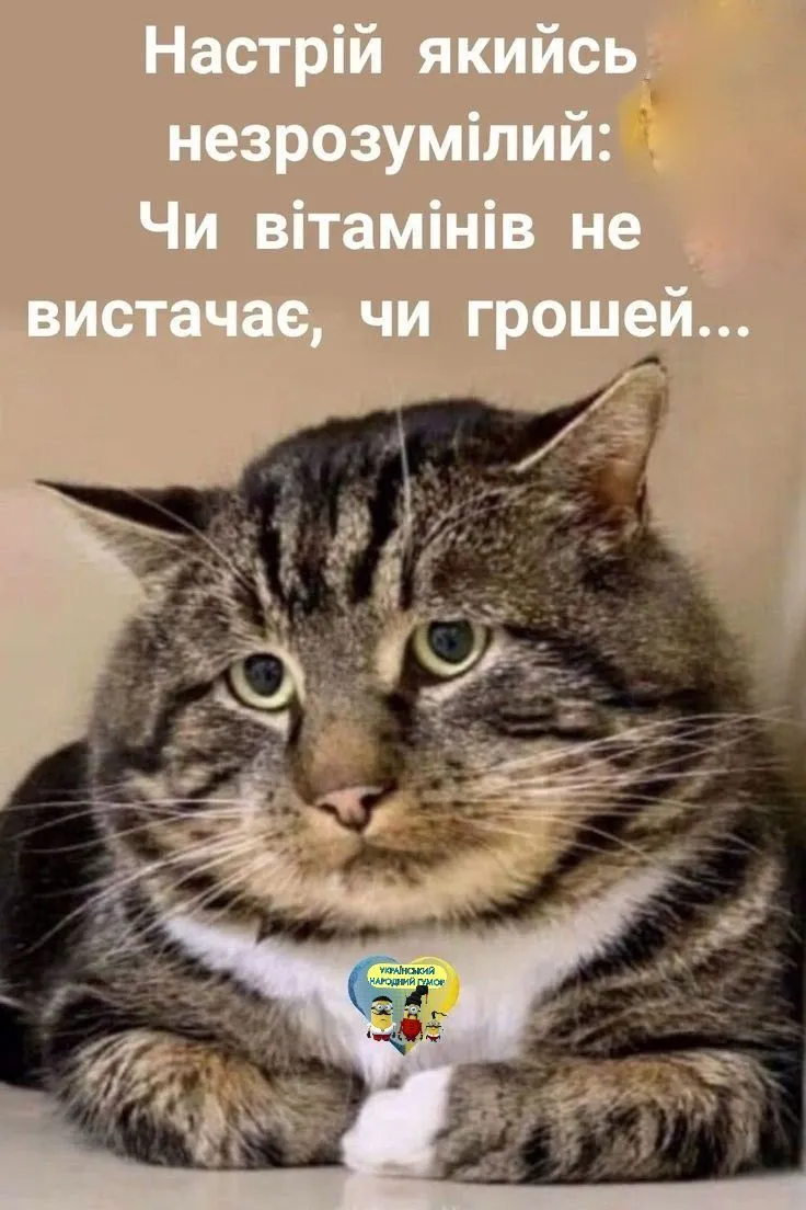 IMG-90bb0b14b6029fa4edf13dcd5d844c22-V.webp