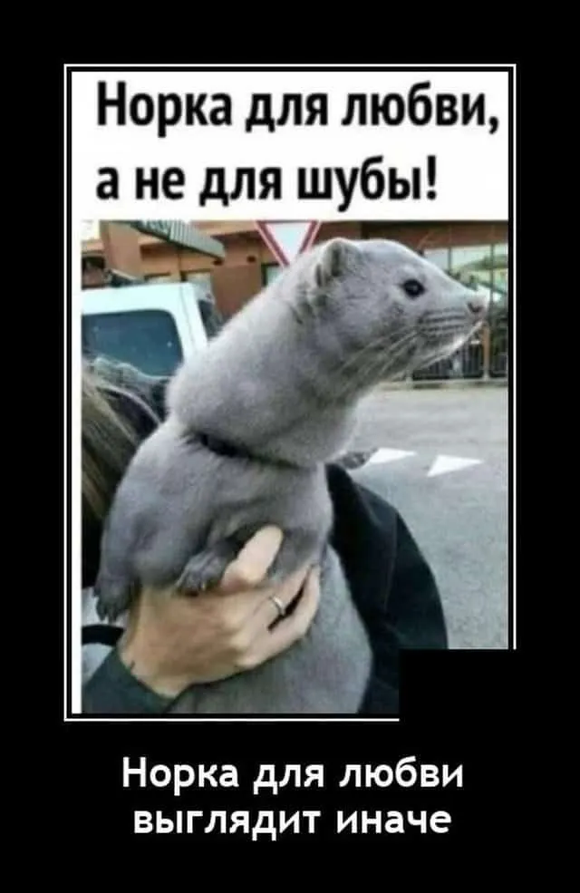 IMG-9127992e08069ea9de1a224194998f89-V.webp