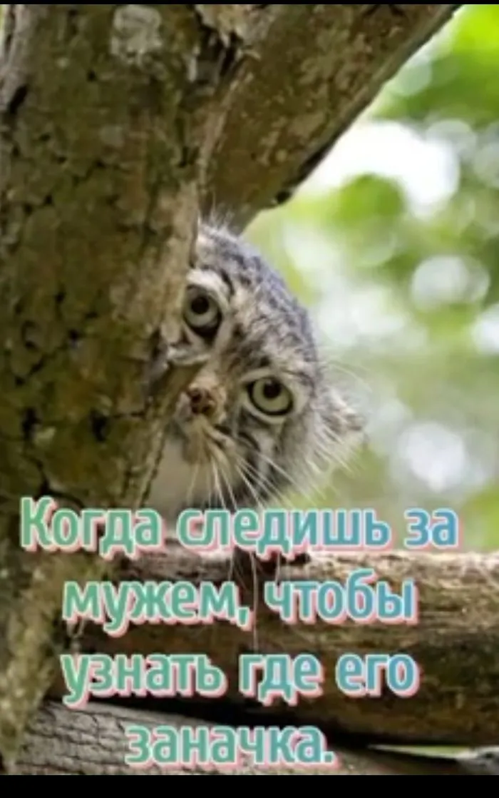 IMG-917fc9a62511cb4706f412562f7cc8a6-V.webp