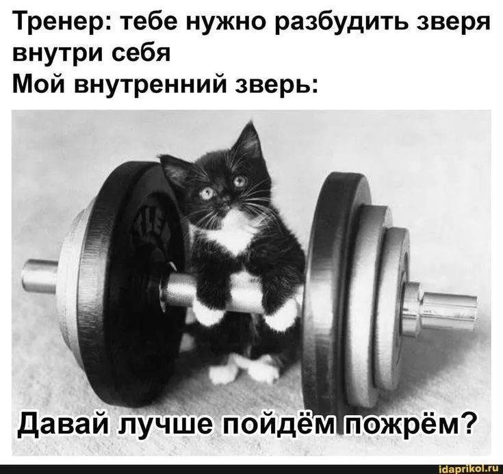 IMG-9278ba4bdb7312faead20e252d55fc20-V.webp
