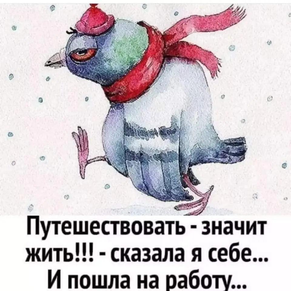 IMG-93ade7ab64f454c27bc42ca82ae0f7f7-V.webp