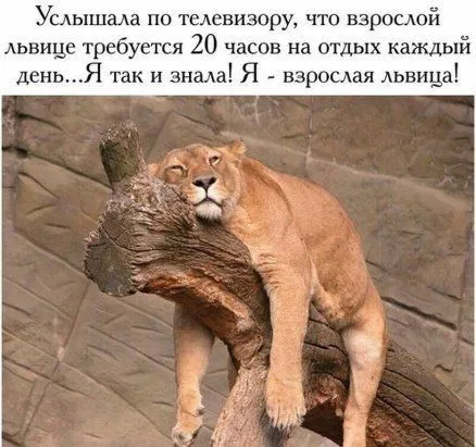 IMG-946b1a179be350e210b0d9039daefc8e-V.webp