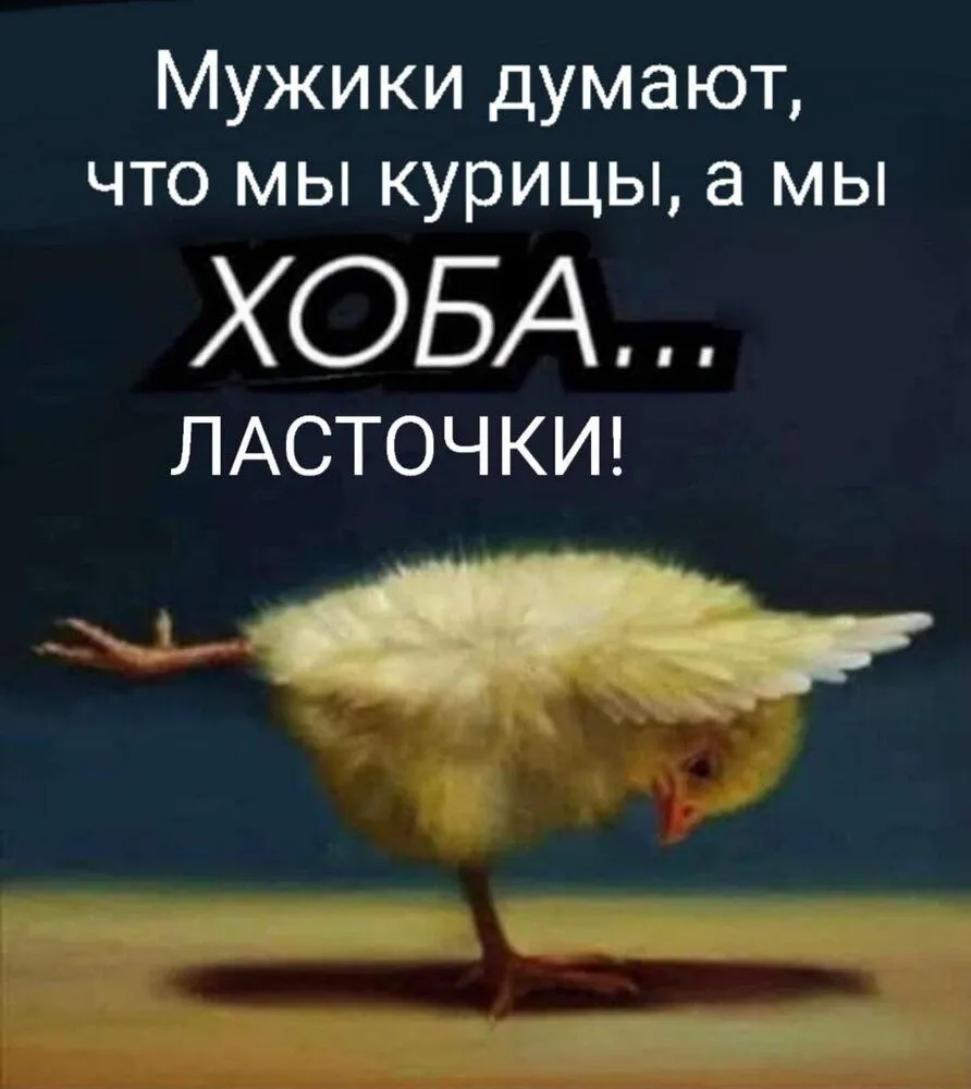 IMG-94a92cba16a24a083819e382db0ec19b-V.webp