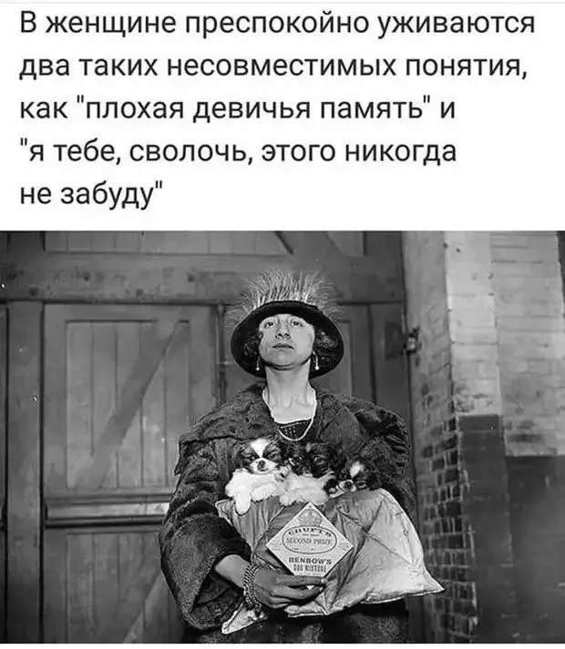 IMG-95e67d595c11f6cab542844ff3af3a81-V.webp