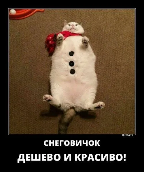 IMG-95eb4cf9b06d6534ead821d87c3e6e4e-V.webp