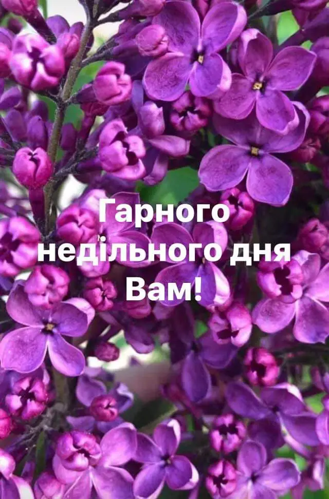 IMG-95f08393b7ab21c8d26cca007172f7fd-V.webp