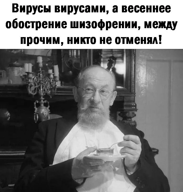 IMG-965b82064614fdd89cc4573fd78ee008-V.webp