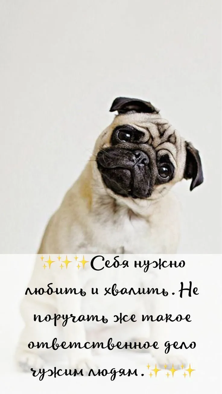 IMG-970b74b885578543ad84e230e3aa4f6c-V.webp