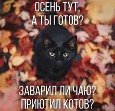 IMG-973e523b23ab2758baa592aa7621dc53-V.webp