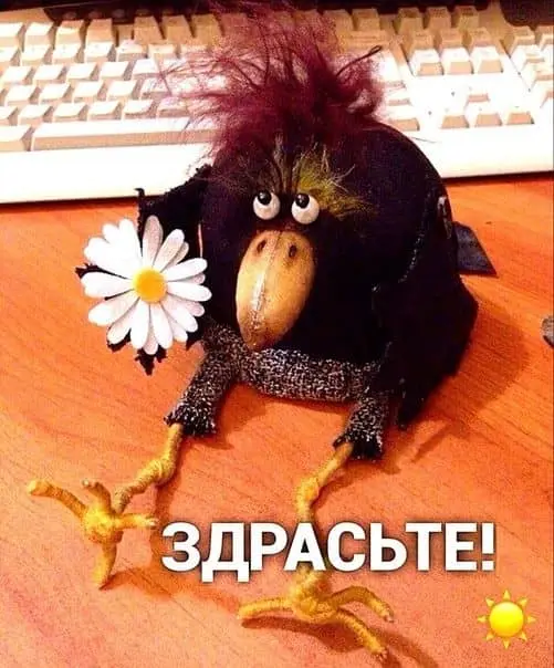 IMG-9754b256c7dd8dc53574a6a9139848c3-V.webp