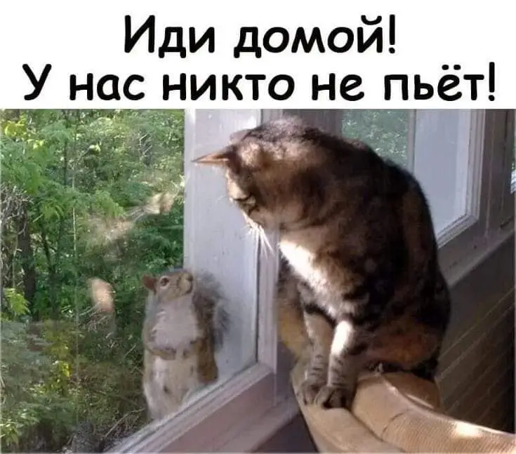 IMG-978132c75d790e82bb2f283a0f781670-V.webp