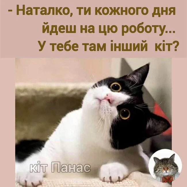 IMG-97ed75bfb6d37473e0075d64d804e767-V.webp