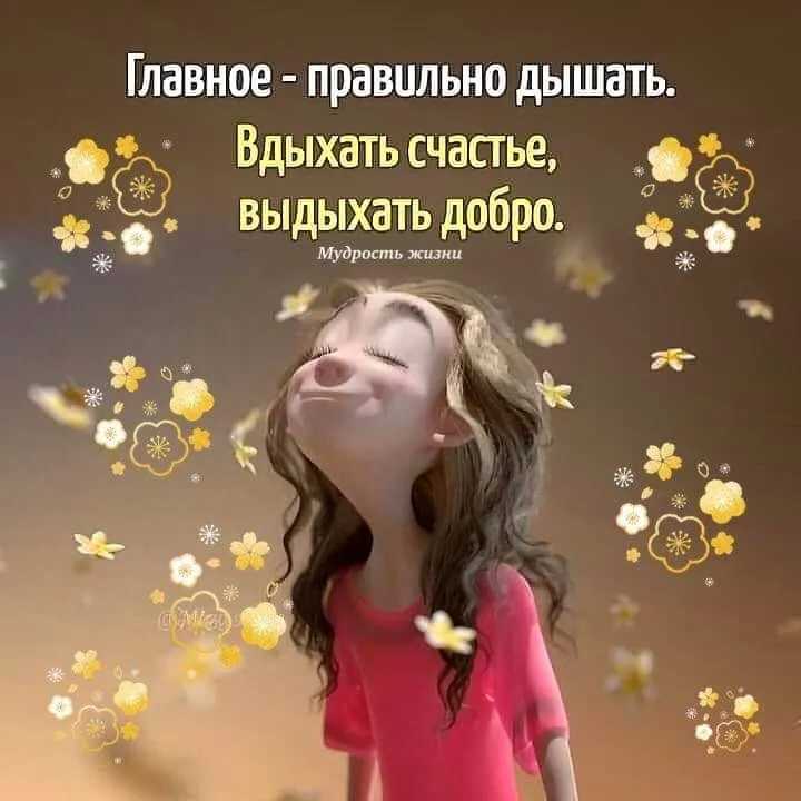 IMG-98331fbab0f34ab73979e72210dcf15b-V.webp