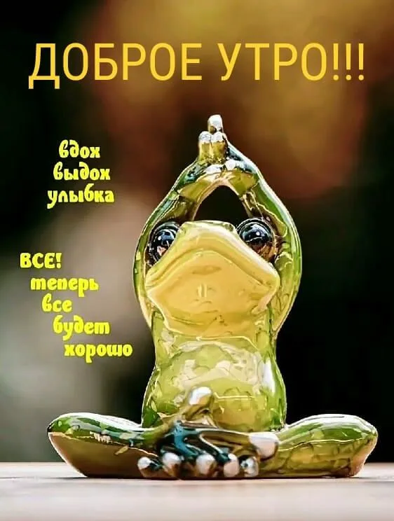 IMG-986a579ec0c63bb957f07553ef85f883-V.webp