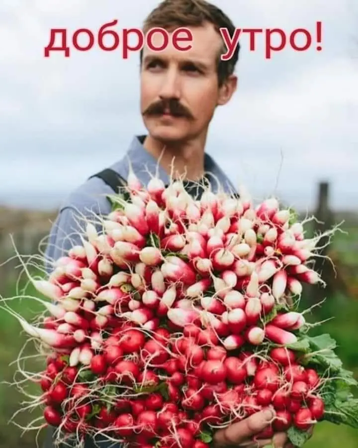 IMG-997e735f5b2e7f050aa4dc8dfbf60b26-V.webp