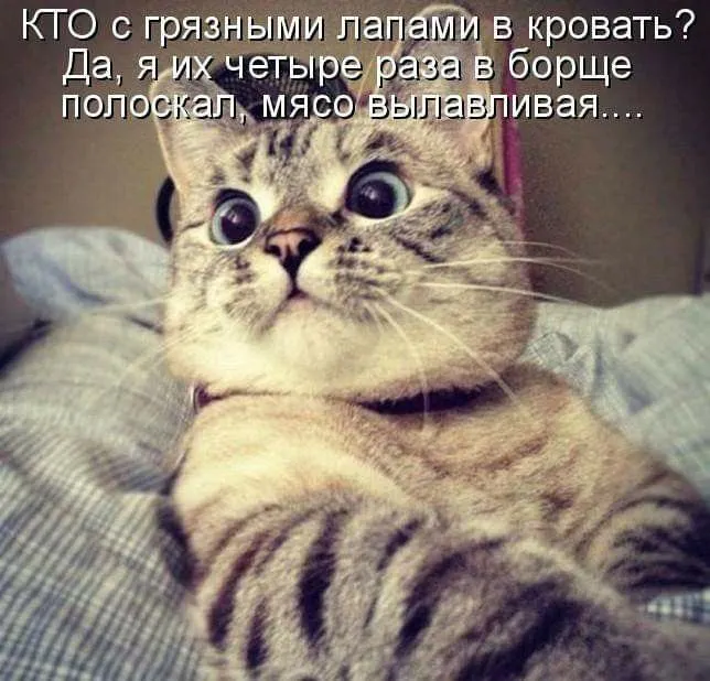 IMG-9aaebfb1b7560a4db0844bc0a76c47ab-V.webp