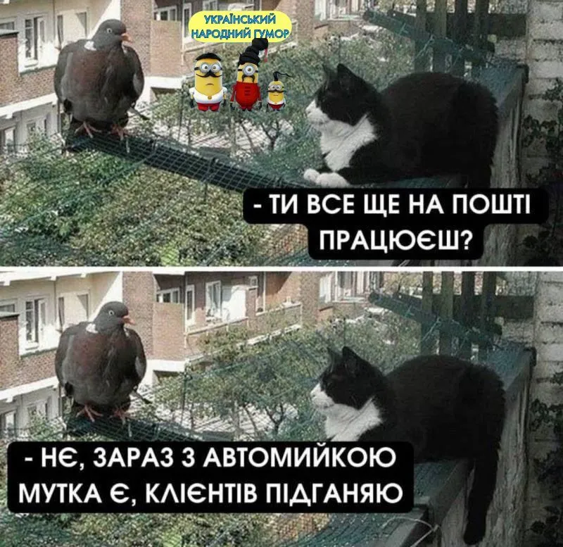 IMG-9ac410a68d05c173ad29d1906ae65213-V.webp