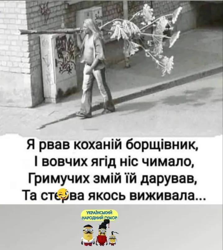 IMG-9b039506c395a9f5475c0de71f7df609-V.webp