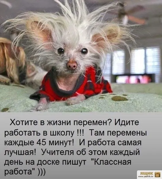 IMG-9b36cfb6abe14602e54be2c53858358b-V.webp
