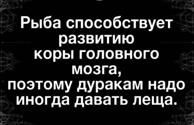 IMG-9b3e679ed735ef7c0c4ec4991dc3e96e-V.webp