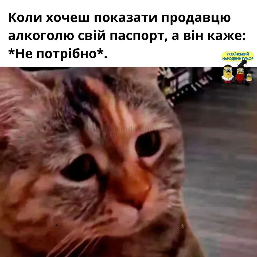 IMG-9b4abdd97ef48e3155681cf34af794c3-V.webp