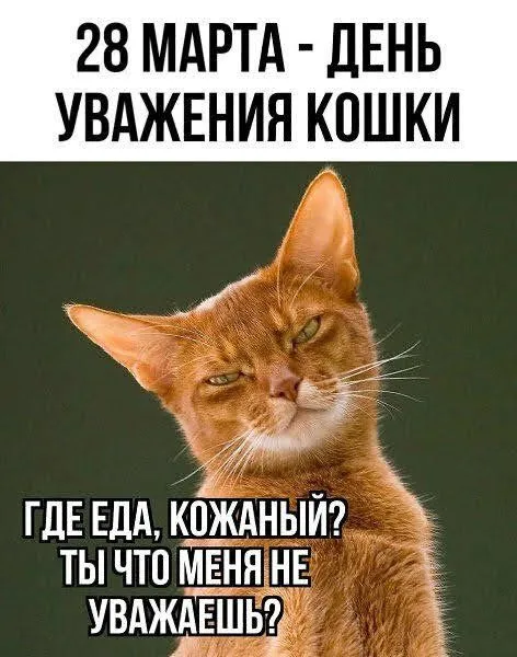 IMG-9cec8c0f1eb31fae139ee0942df1e01a-V.webp