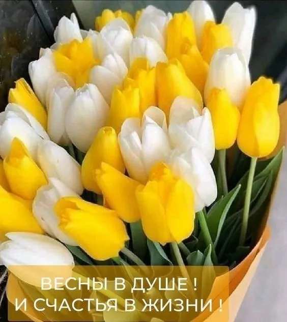 IMG-9da985d906844ce32e9607139d77469a-V.webp