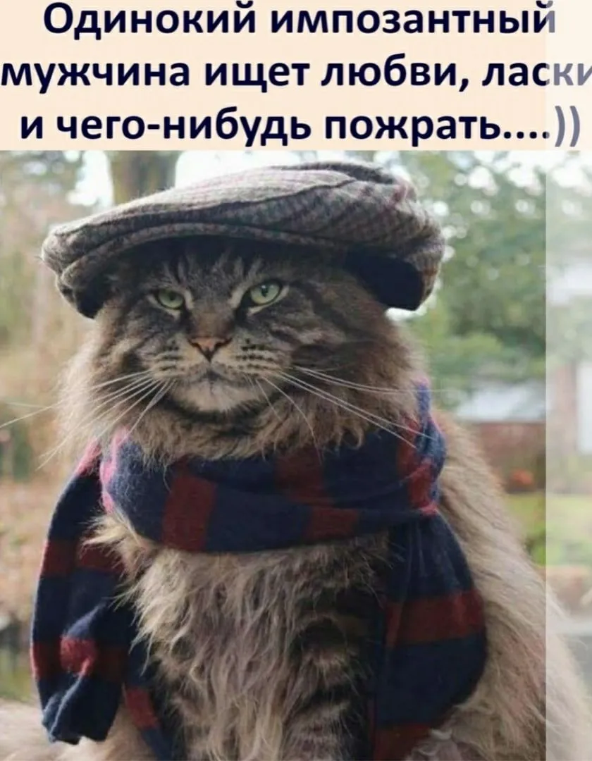 IMG-9dfaa7d2a82beb99d09404e0bc003f49-V.webp
