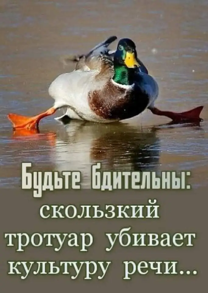 IMG-9e3faf9d6c0607a4d2f1d999eb451f5c-V.webp