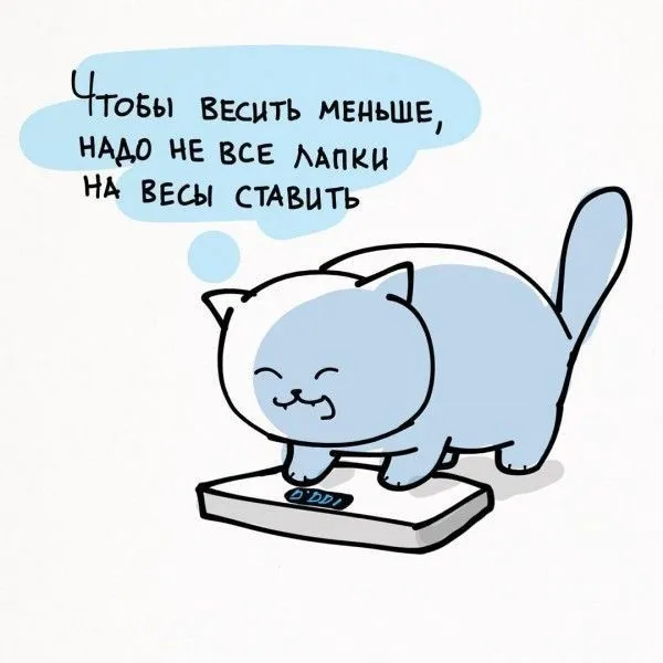 IMG-9e80abc93c6ce945c7ae86c1be02a36e-V.webp