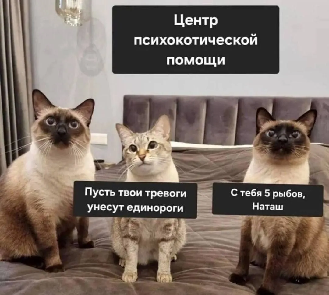 IMG-9ea93f701523eafb9c9c7ff5368d4447-V.webp