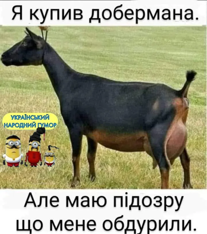 IMG-9f6587e18d20a2cd1c812f27d48526b5-V.webp