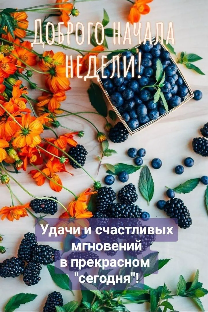 IMG-a015363654de3c7a67847f9fabf58dd6-V.webp