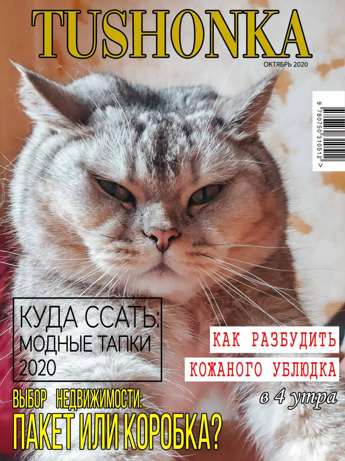 IMG-a0917ef716cc9ef1e42f79aacec25b22-V.webp