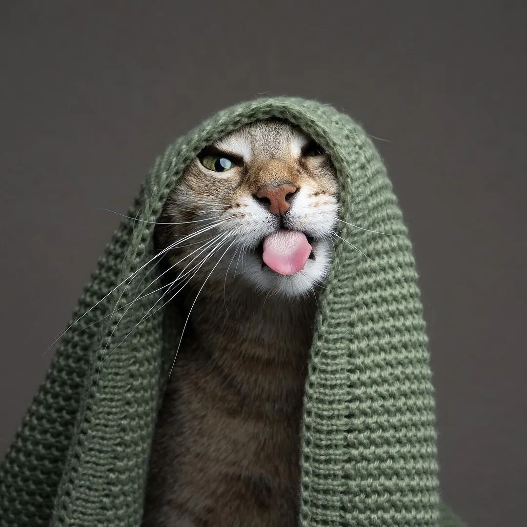 IMG-a0aa8fe2158c00d75618f1a356f52015-V.webp