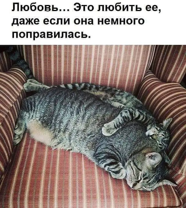 IMG-a1b948969fb9eaa844b08c1121b01c27-V.webp