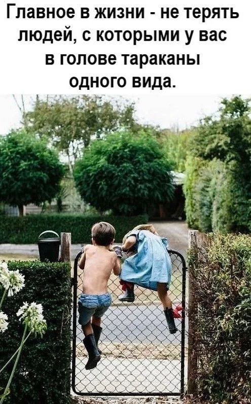 IMG-a218764c02ef9f432d0e15e33cb797e2-V.webp