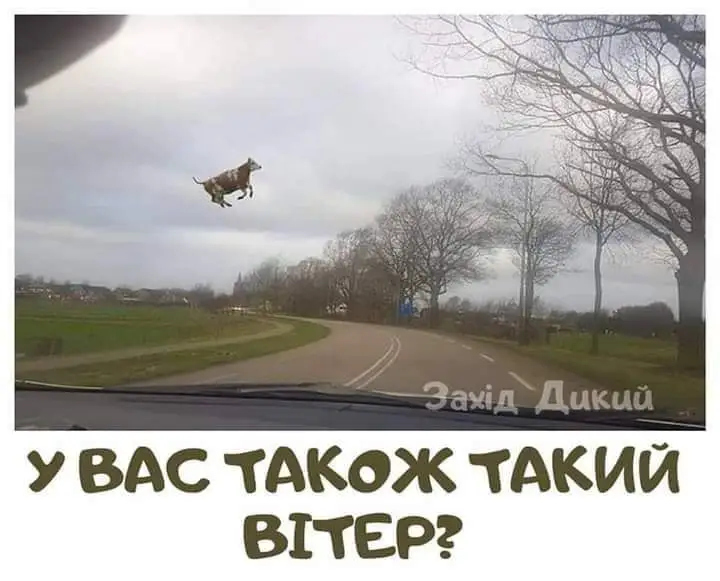 IMG-a372dc5207d7bef945844c1d97b70c24-V.webp
