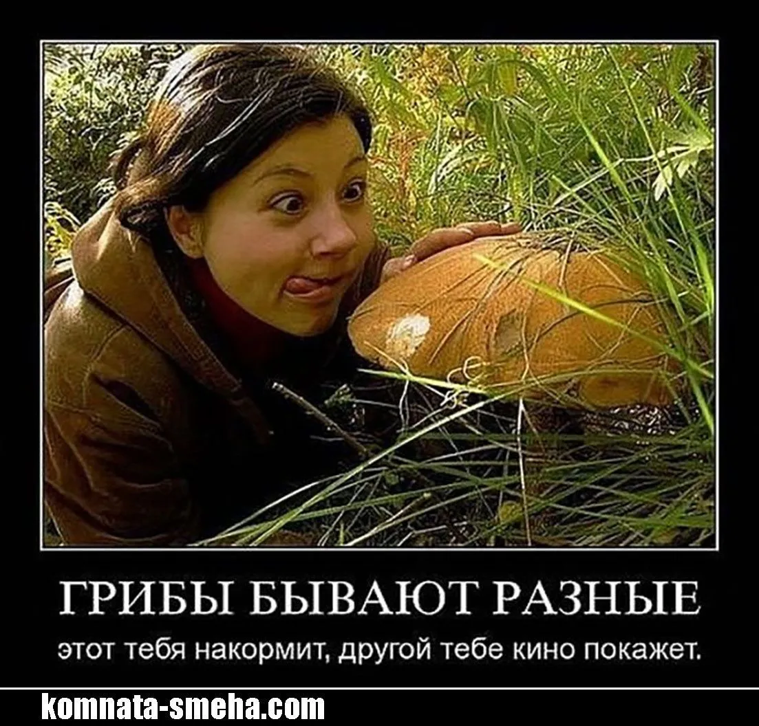 IMG-a3db76bfc0bc9ce8718cd23cbc83b587-V.webp