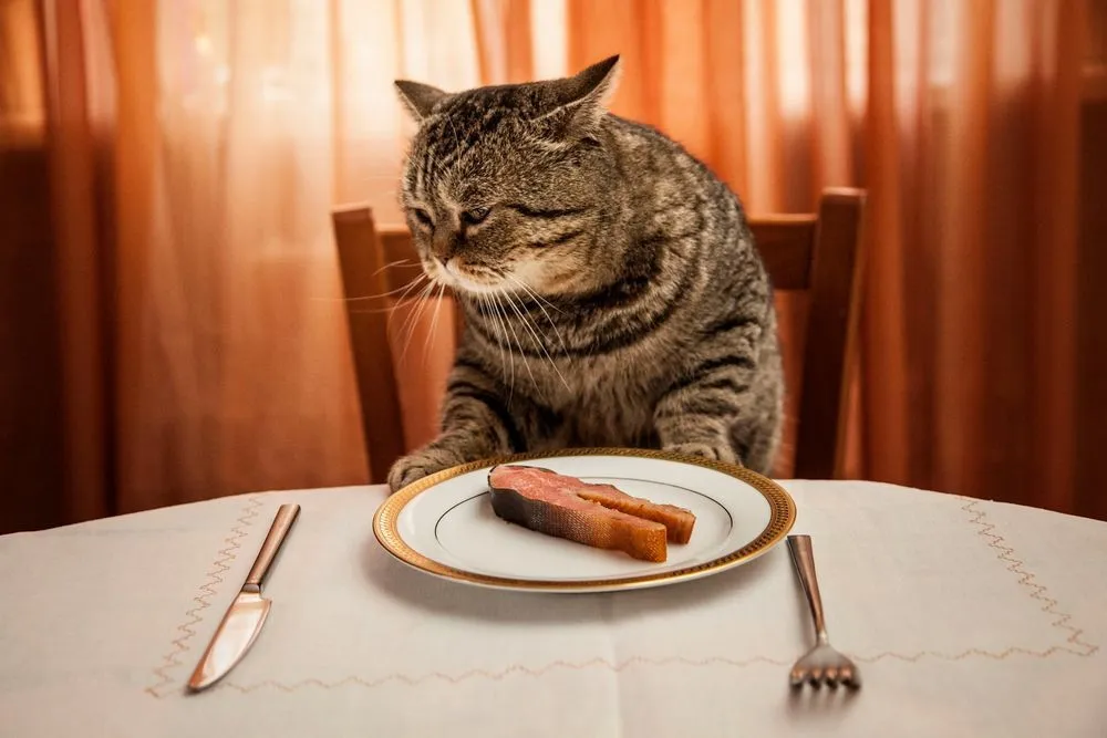 IMG-a3f4a2e96696e05c6c9bb9366cac35e8-V.webp