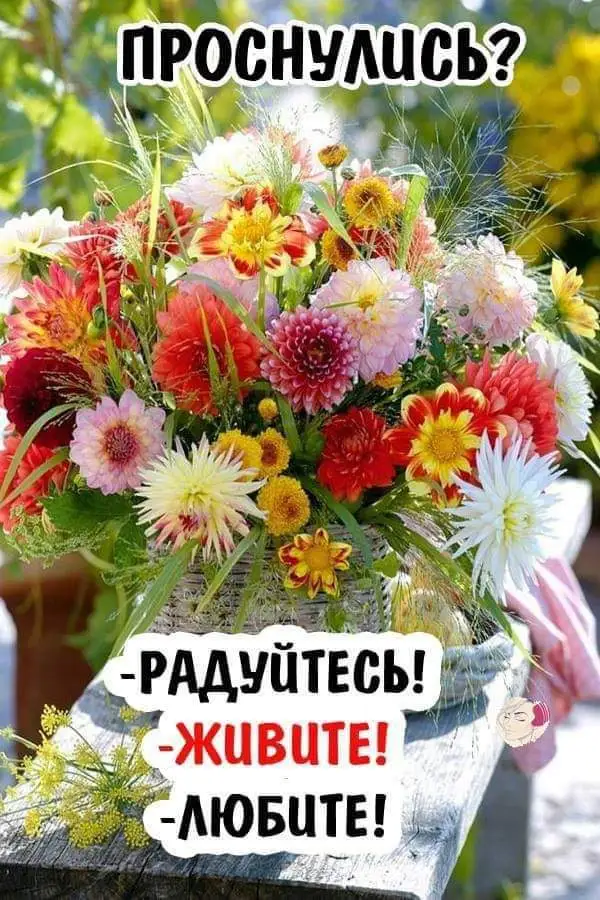 IMG-a5406ad5804a69598a1471baf48e1dd3-V.webp