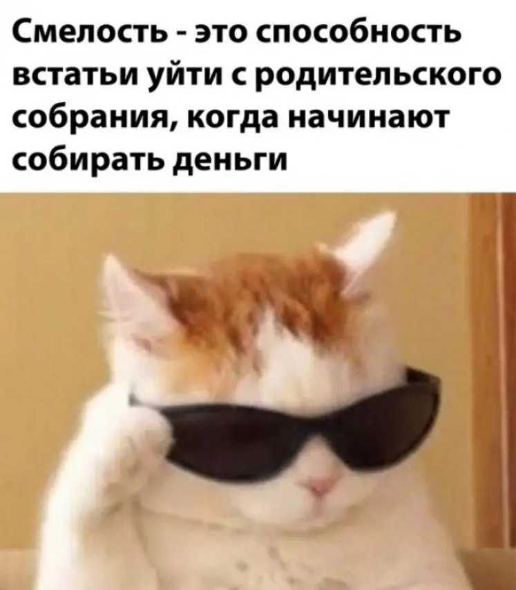 IMG-a69bd5ebdef2e6200f16b74b8ce09525-V.webp