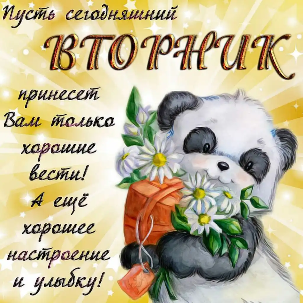 IMG-a78a97ee5856508301f00d232fd9148a-V.webp