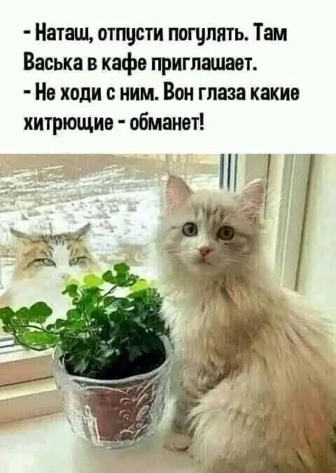 IMG-aa714c07e557c078c92f78746e76b60a-V.webp