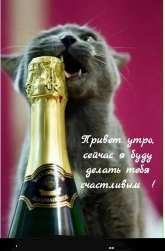 IMG-aa8f791bc07e68a73ac7ce33541db3de-V.webp