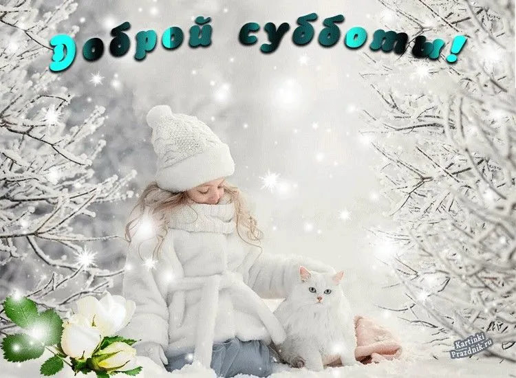 IMG-aab7703c99bacf2ac400007e62daff91-V.webp