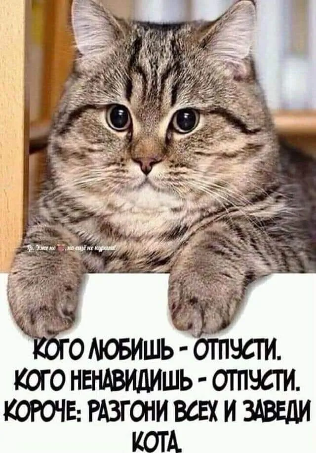 IMG-ab7e606d1fe3957d9e0503dea71aee38-V.webp