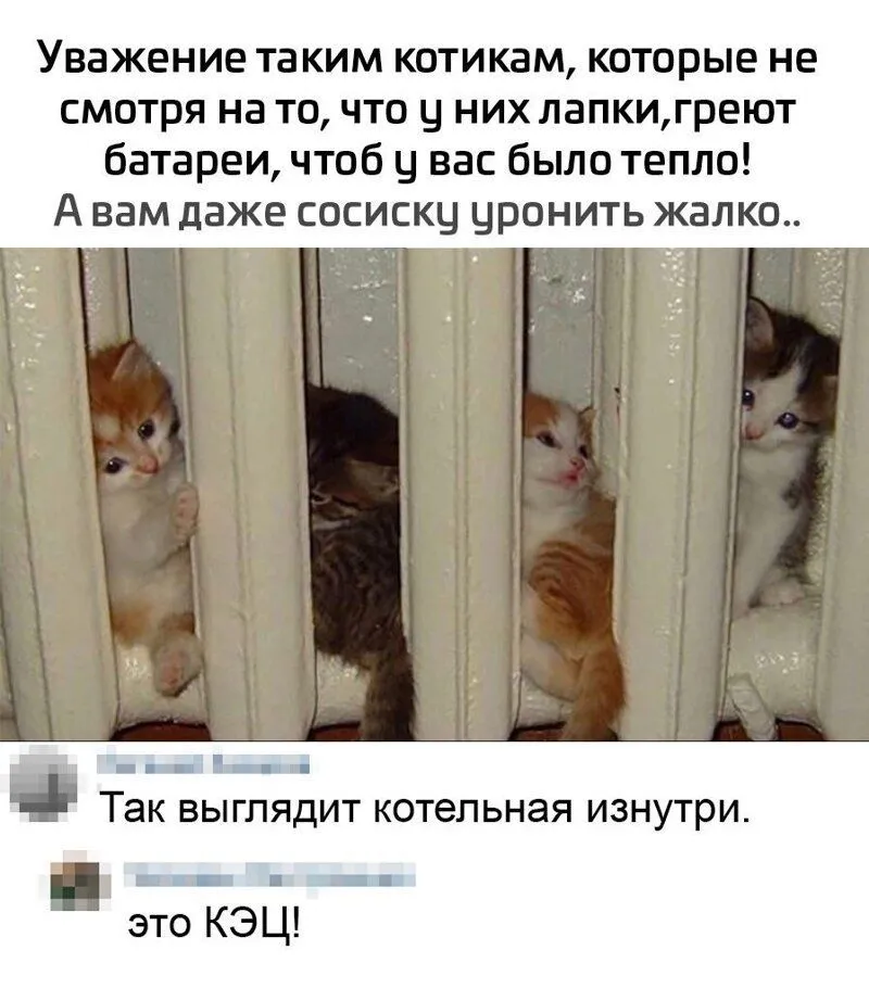 IMG-ab85d8cc9cce3f40c88d1240d08a5ff2-V.webp