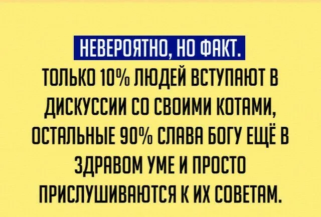 IMG-aba7f2f3cb6d8c7c3acf6b256ffc4590-V.webp